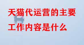 天貓代運(yùn)營(yíng)的主要工作內(nèi)容是什么