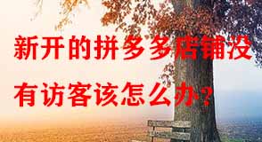 新開(kāi)的拼多多店鋪沒(méi)有訪客該怎么辦