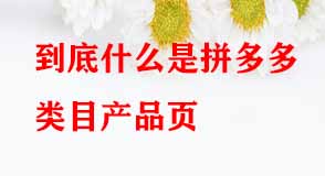 到底什么是拼多多類目產(chǎn)品頁