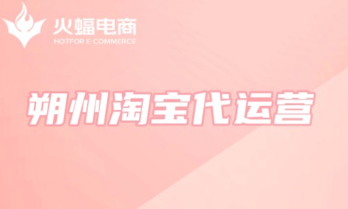 朔州淘寶代運營 朔州淘寶代運營