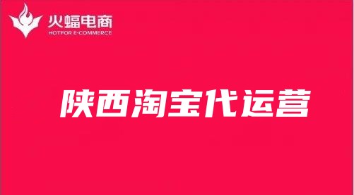 陜西淘寶代運(yùn)營(yíng)